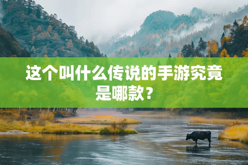 这个叫什么传说的手游究竟是哪款？