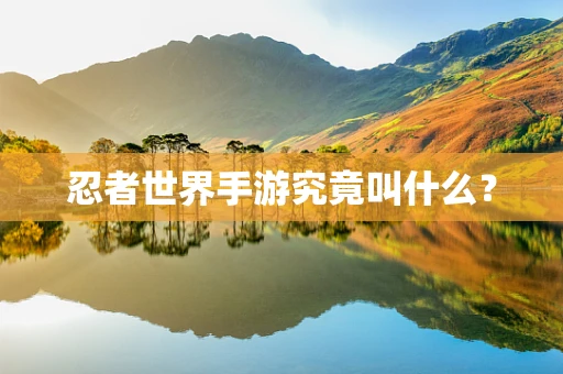 忍者世界手游究竟叫什么？
