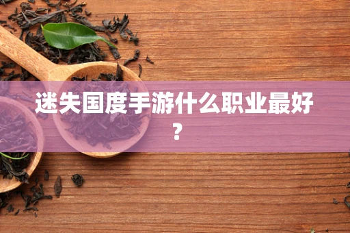 迷失国度手游什么职业最好？