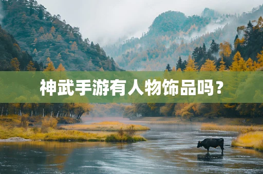 神武手游有人物饰品吗？