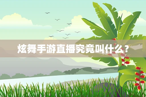 炫舞手游直播究竟叫什么？