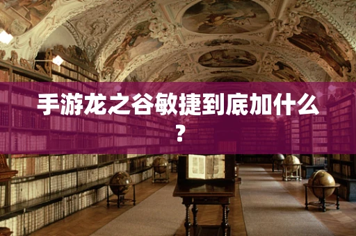 手游龙之谷敏捷到底加什么？
