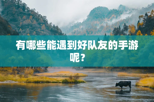 有哪些能遇到好队友的手游呢？