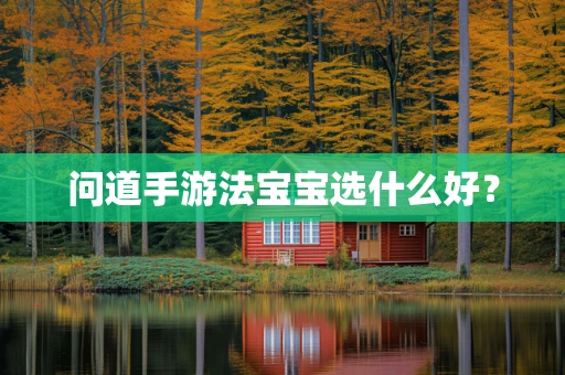 问道手游法宝宝选什么好？