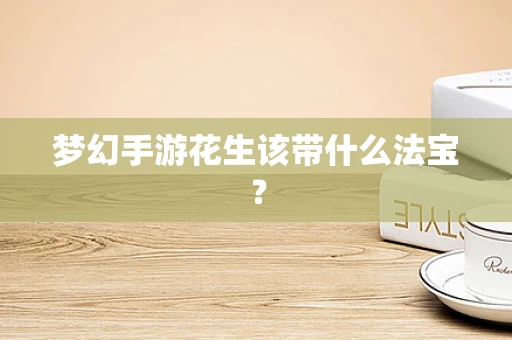 梦幻手游花生该带什么法宝？