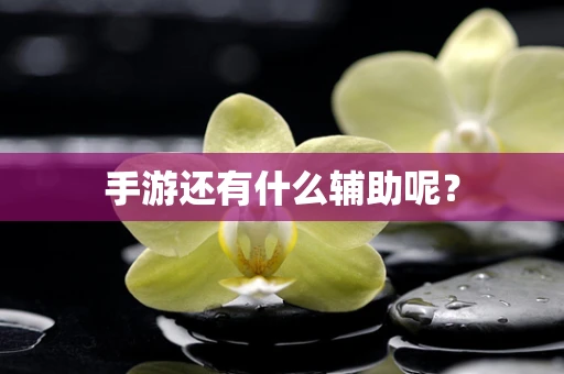 手游还有什么辅助呢？