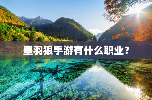 墨羽狼手游有什么职业？
