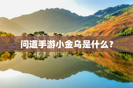 问道手游小金乌是什么？
