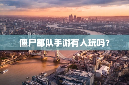 僵尸部队手游有人玩吗？