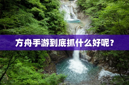 方舟手游到底抓什么好呢？