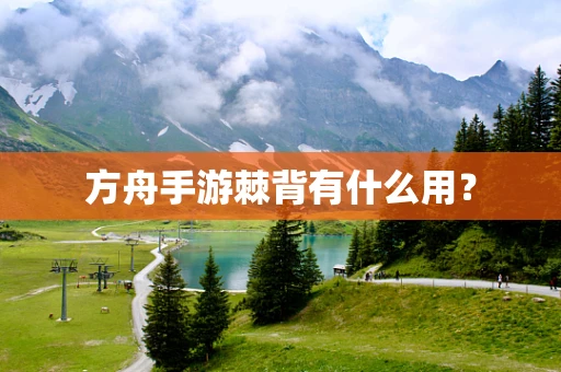 方舟手游棘背有什么用？