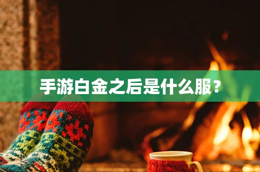 手游白金之后是什么服？