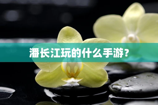 潘长江玩的什么手游？