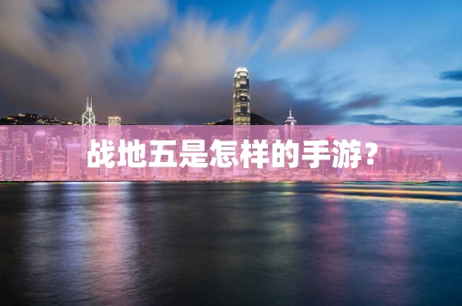 战地五是怎样的手游？