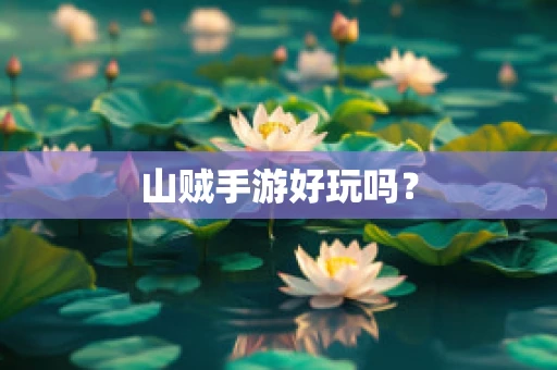 山贼手游好玩吗？