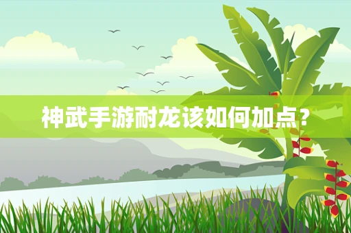 神武手游耐龙该如何加点？