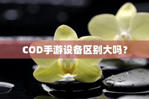 COD手游设备区别大吗？