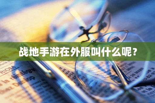战地手游在外服叫什么呢？