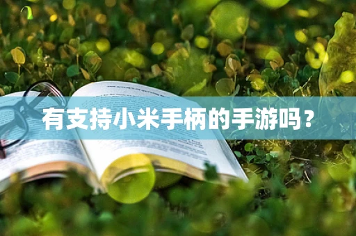 有支持小米手柄的手游吗？