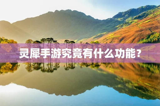 灵犀手游究竟有什么功能？