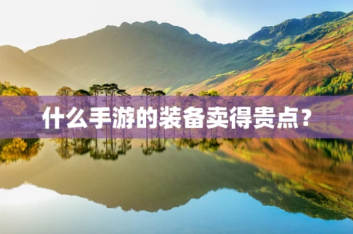 什么手游的装备卖得贵点？