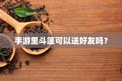 手游里斗篷可以送好友吗？