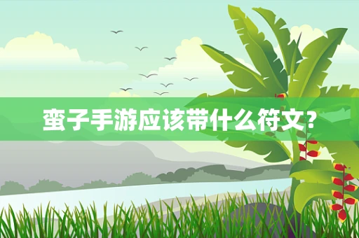 蛮子手游应该带什么符文？