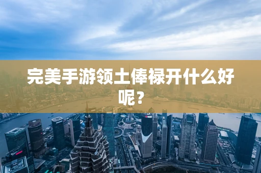 完美手游领土俸禄开什么好呢？