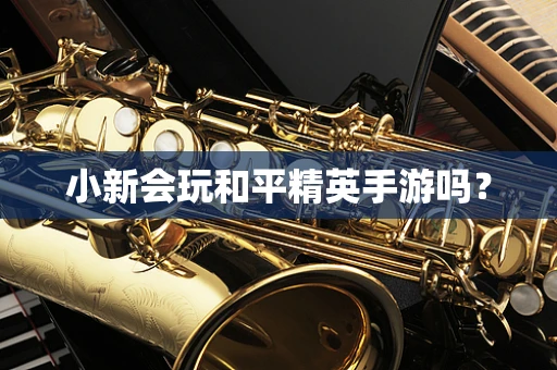 小新会玩和平精英手游吗？