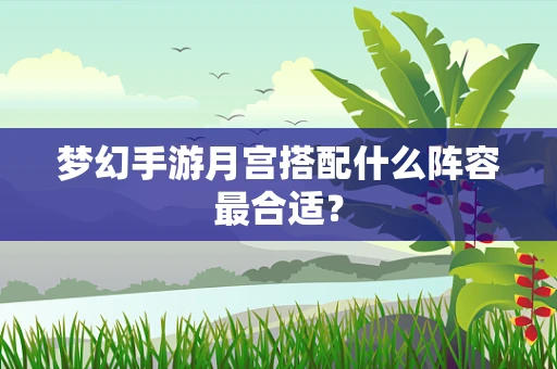 梦幻手游月宫搭配什么阵容最合适？