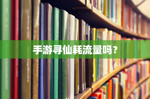 手游寻仙耗流量吗？