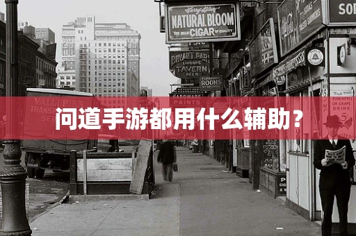 问道手游都用什么辅助？