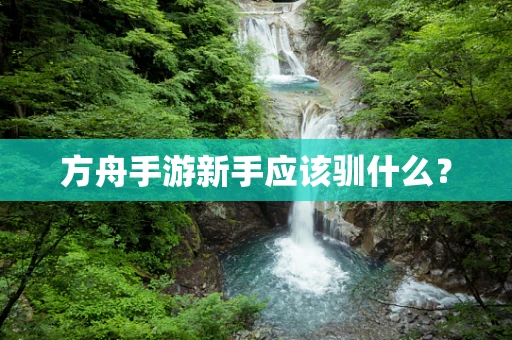 方舟手游新手应该驯什么？