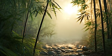 楚留香手游是天刀吗？